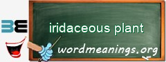 WordMeaning blackboard for iridaceous plant